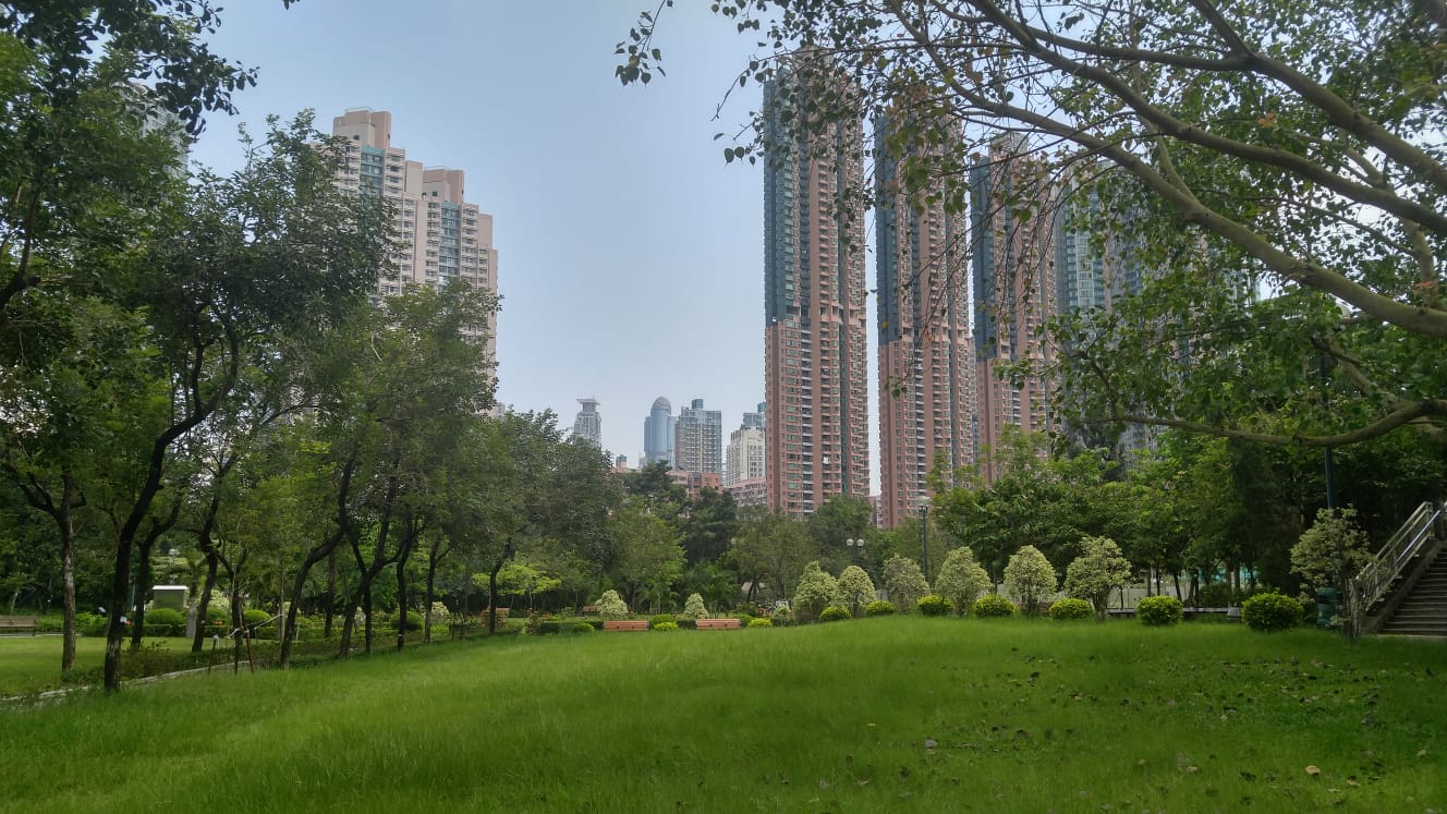 Park green meadow skyline in Hongkong